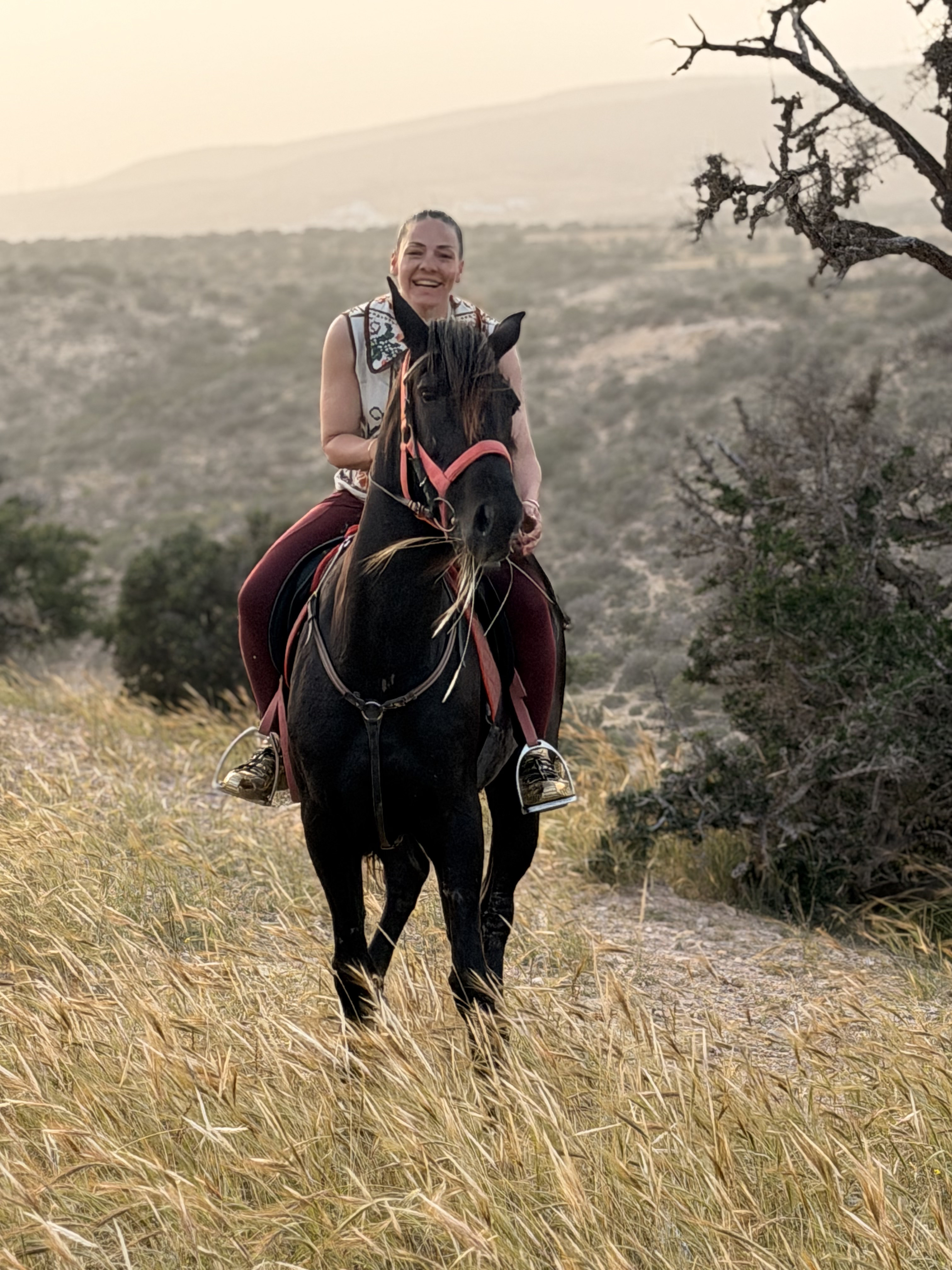 Dramatic coastal cliff horse trail overlooking the sea